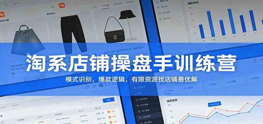 淘系店铺操盘手训练营:模式识别,爆款逻辑,有限资源找店铺最优解-佳梦网创 - 网创副业项目资源站