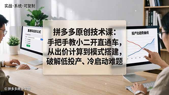 (18159期)拼多多原创技术课:手把手教小二开直通车,从出价计算到模式搭建,破解低投产、冷启动难题-佳梦网创 - 网创副业项目资源站