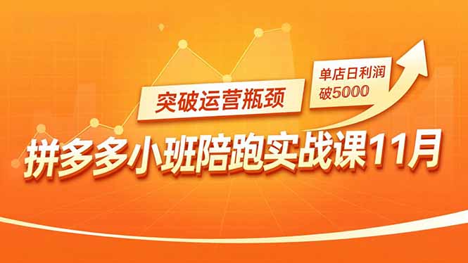 拼多多小班陪跑实战课11月，强付费矩阵、原价活动、暗券引流，突破运营瓶颈，单店日利润破5000 - 佳梦网创 - 网创副业项目资源站-佳梦网创 - 网创副业项目资源站
