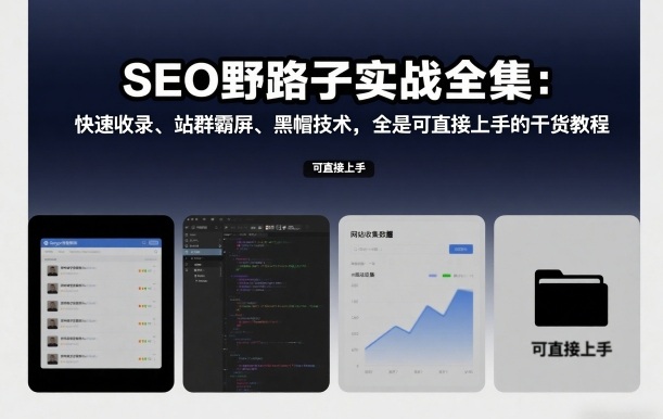 SEO野路子实战全集：快速收录、站群霸屏、黑帽技术，全是可直接上手的干货教程 - 佳梦网创 - 网创副业项目资源站-佳梦网创 - 网创副业项目资源站