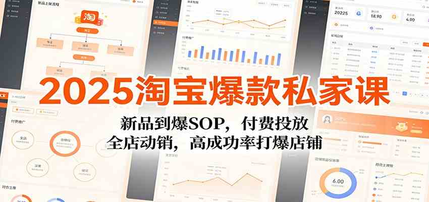 2025淘宝爆款私家课：新品到爆SOP，付费投放，全店动销，高成功率打爆店铺 - 佳梦网创 - 网创副业项目资源站-佳梦网创 - 网创副业项目资源站