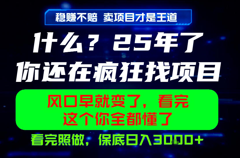 26年，请不要疯狂的找项目做了！卖项目才是真的稳賺不赔，看完照做，保底日入1k+【揭秘】 - 佳梦网创 - 网创副业项目资源站-佳梦网创 - 网创副业项目资源站