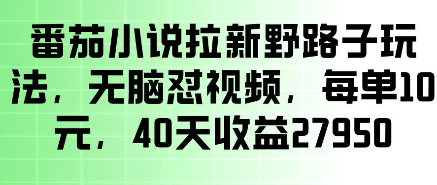 番茄小说拉新野路子玩法，无脑怼视频，玩法简单、见效快，每单10米，40天收益27950 - 佳梦网创 - 网创副业项目资源站-佳梦网创 - 网创副业项目资源站