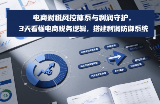 电商财税风控体系与利润守护，3天看懂电商税务逻辑，搭建利润防御系统 - 佳梦网创 - 网创副业项目资源站-佳梦网创 - 网创副业项目资源站