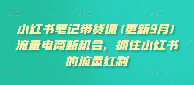 小红书笔记带货课(更新25年12月)流量电商新机会，抓住小红书的流量红利-佳梦网创 - 网创副业项目资源站