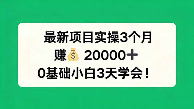 最新项目实操3个月，赚钱20000+，0基础小白3天学会！ - 佳梦网创 - 网创副业项目资源站-佳梦网创 - 网创副业项目资源站