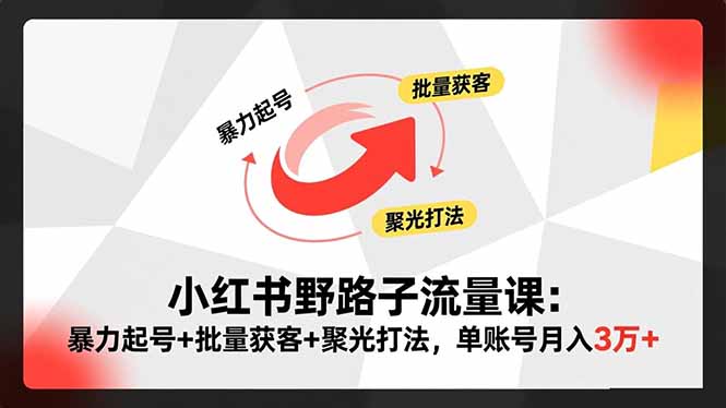 小红书野路子流量课：暴力起号+批量获客+聚光打法，单账号月入3万+ - 佳梦网创 - 网创副业项目资源站-佳梦网创 - 网创副业项目资源站