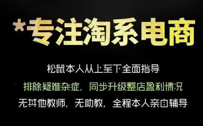 松鼠会电商VIP课程，从基础布局到高阶优化，助你掌握淘宝运营逻辑，提升店铺流量与转化（更新0901）-佳梦网创 - 网创副业项目资源站
