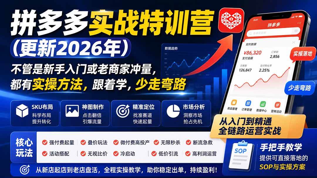 （20280期）拼多多实战特训营(更新26年9月)：不管是新手入门或老商家冲量，都有实操方法，跟着学，少走弯路-佳梦网创 - 网创副业项目资源站