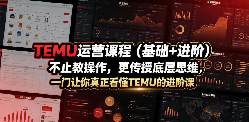 TEMU运营课程（基础+进阶），不止教操作，更传授底层思维，一门让你真正看懂TEMU的进阶课 - 佳梦网创 - 网创副业项目资源站-佳梦网创 - 网创副业项目资源站