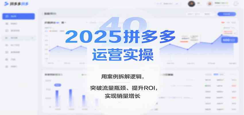 2025拼多多运营实操，用案例拆解逻辑，突破流量瓶颈、提升ROI，实现销量增长（更新）-佳梦网创 - 网创副业项目资源站