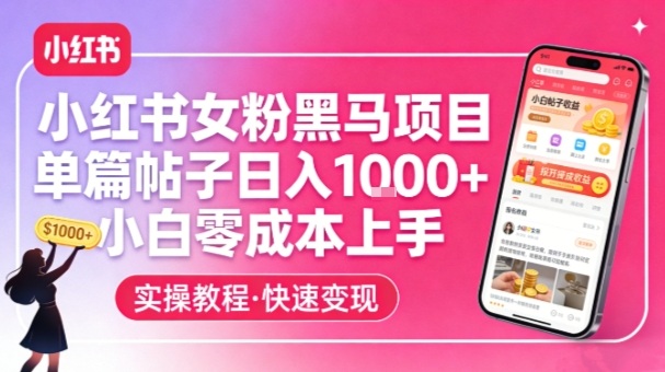 小红书女粉黑马项目,单篇帖子日入1k+,小白零成本上手-佳梦网创 - 网创副业项目资源站