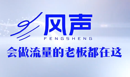 董十一·风声短视频AI获客年度会员 - 佳梦网创 - 网创副业项目资源站-佳梦网创 - 网创副业项目资源站